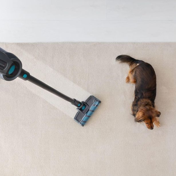POKONČNI SESALNIK CECOTEC ROCKSTAR 1300 X-TREME