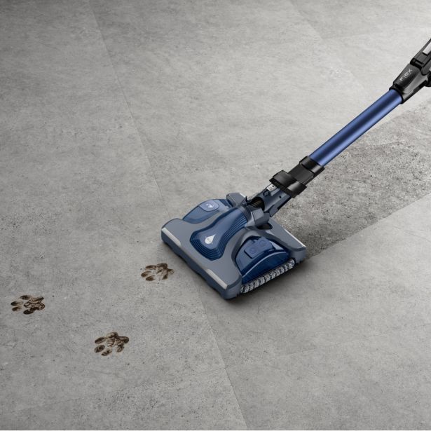 POKONČNI SESALNIK ROWENTA RH99C0WO X-FORCE FLEX