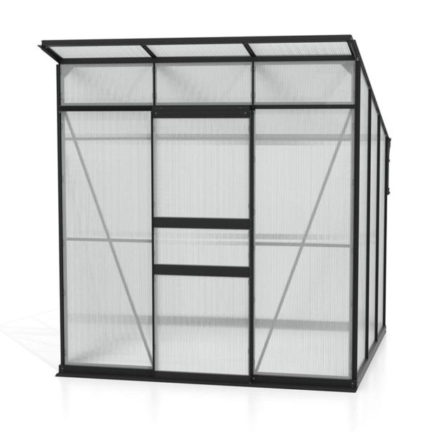 POLIKARBONATNI RASTLINJAK VITAVIA PALMA 4450 HKP 6 MM, ČRNA