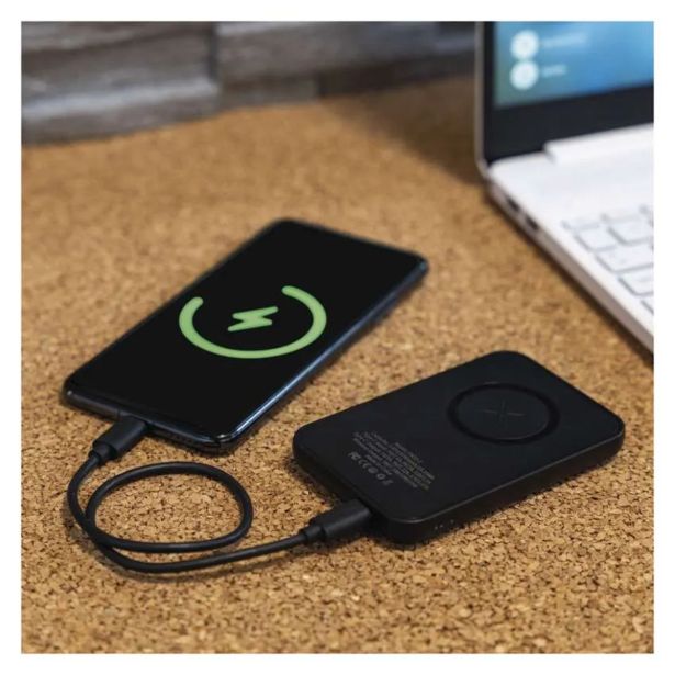 POLNILNIK ZA GSM EMOS POWERBANK WI 521 MICRO