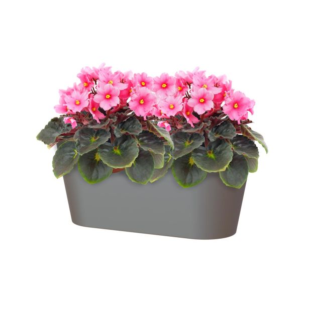 PE NOTRANJI LONEC PORTO PODOLGOVAT ANTRACIT 30CM