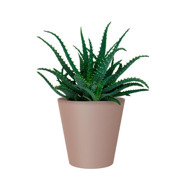 PE NOTRANJI LONEC PORTO TAUPE 14CM