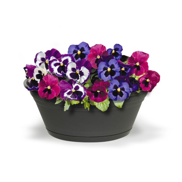 PE SADILNI LONEC POSODA 27CM ANTRACIT