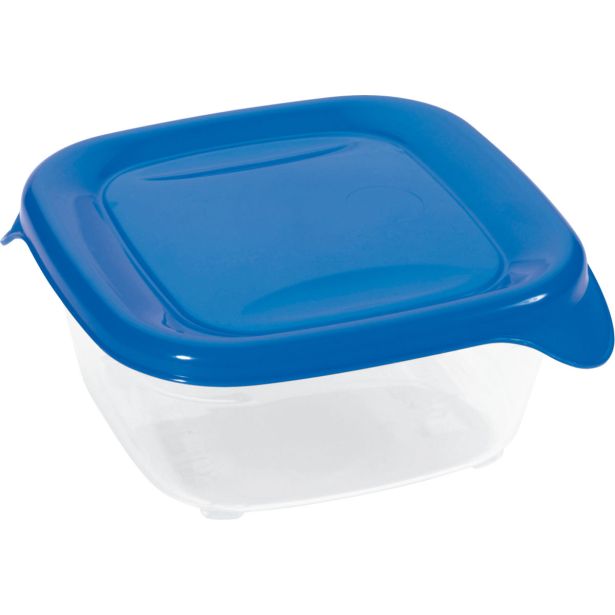 POSODA ZA SHRANJEVANJE CURVER FRESH&GO 0.25L TRANSPARENT MODRA