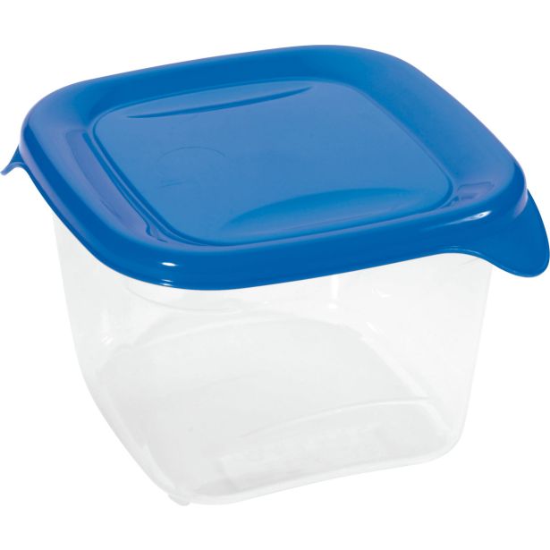 POSODA ZA SHRANJEVANJE CURVER FRESH&GO 0.45L TRANSPARENT MODRA