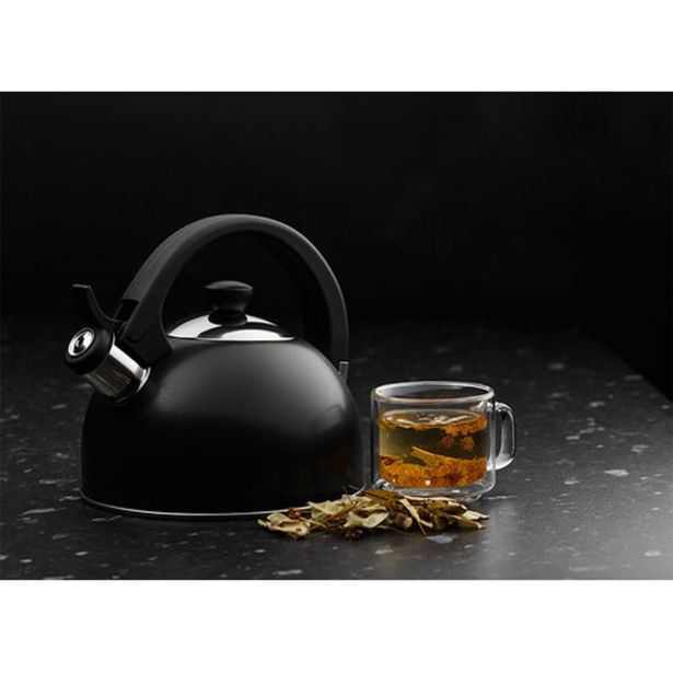 POSODA ZA TOPLE NAPITKE GALICIJA ČAJNIK MOLLY 1.7L IZ NERJAVEČEGA JEKLA