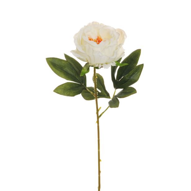 UMETNO CVETJE EVERGREENS POTONIKA BELA