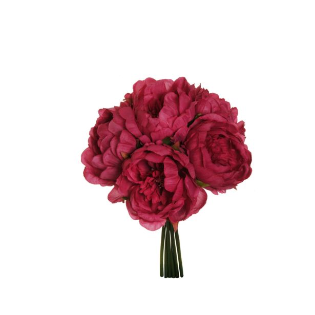 UMETNO CVETJE EVERGREENS POTONIKA V ŠOPKU FUKSIJA