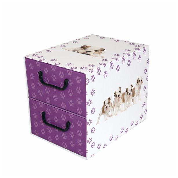 ŠKATLA/ZABOJ MISSSPACE PREDALNIK ZA SHRANJEVANJE Z DVEMA PREDALOMA