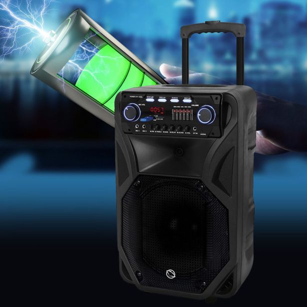 PRENOSNI KARAOKE ZVOČNIK MANTA SPK5021 PRO FONOS ČRN