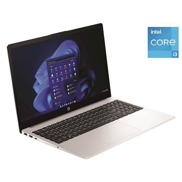 PRENOSNI RAČUNALNIK HP 250 G10 I3-1315U/16GB/ SSD512GB/15.6"FHD/W11HOM