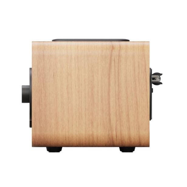 PRENOSNI RADIO BLAUPUNKT DR10CR