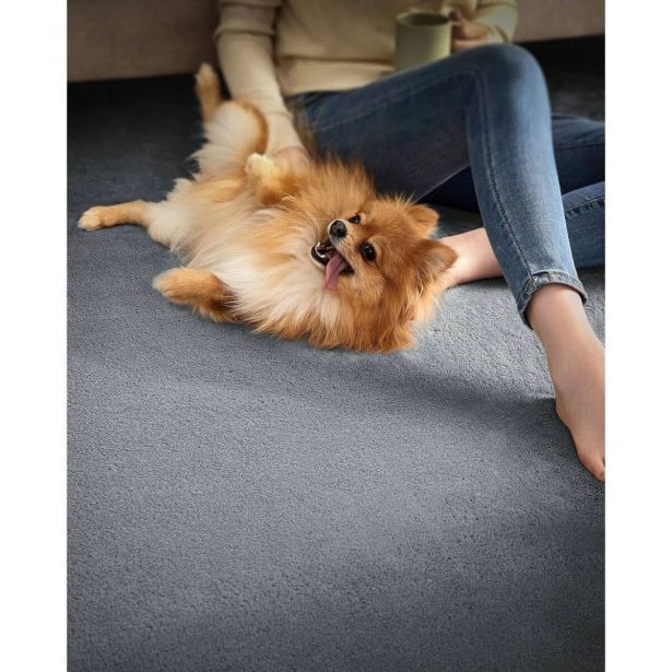 PREPROGA SONGMICS TAR014G01 200X290 CM