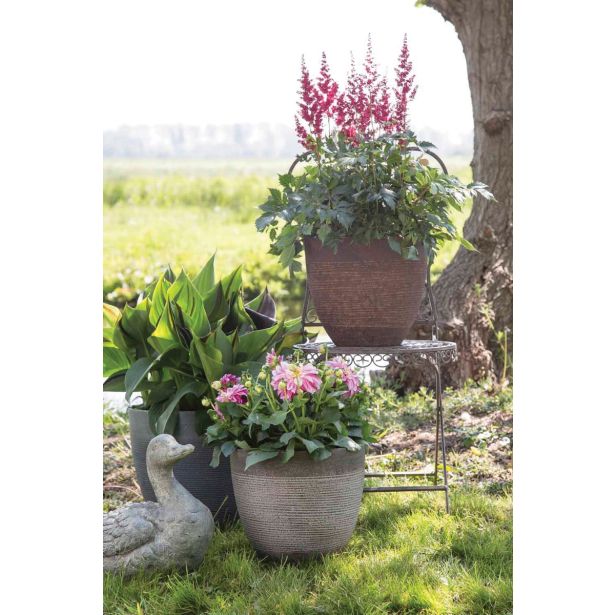 PE ZUNANJI LONEC MICA ECHO OKROGEL 3 MEŠANO V51XD56CM SORT 3