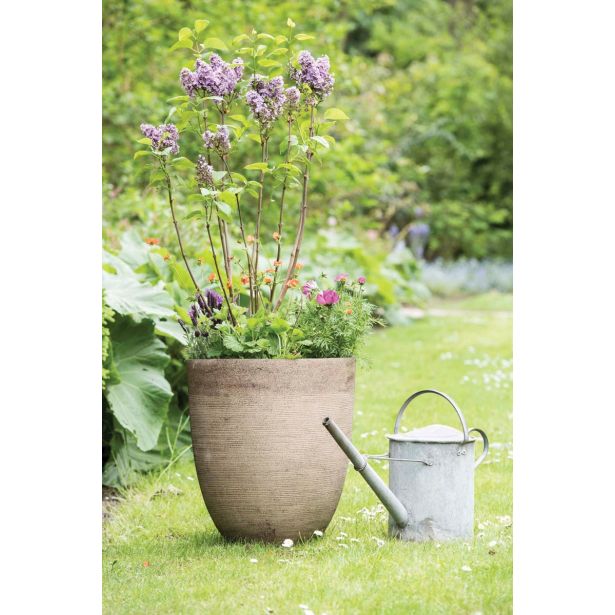 PE ZUNANJI LONEC MICA ECHO OKROGEL 3 MEŠANO V51XD56CM SORT 3