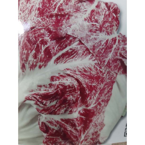 LISTNA ZELENJAVA L'ORTO FRUTTIFERO RADIČ 8/1 DI CHIOGGIA KULTIPAK