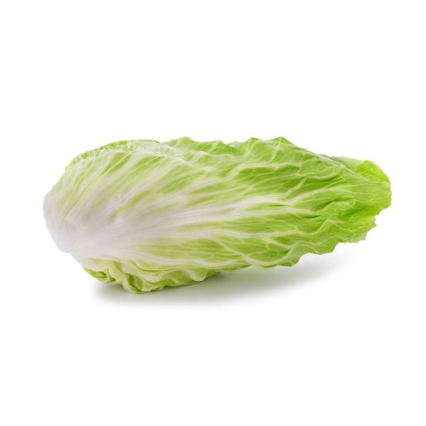 LISTNA ZELENJAVA L'ORTO FRUTTIFERO RADIČ PAN DI ZUCCHERO 8/1 PANDEA KULTIPAK