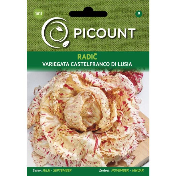 LISTNA ZELENJAVA VILMORIN RADIČ VARIEGATA CASTELFRANCO DI LUSIA