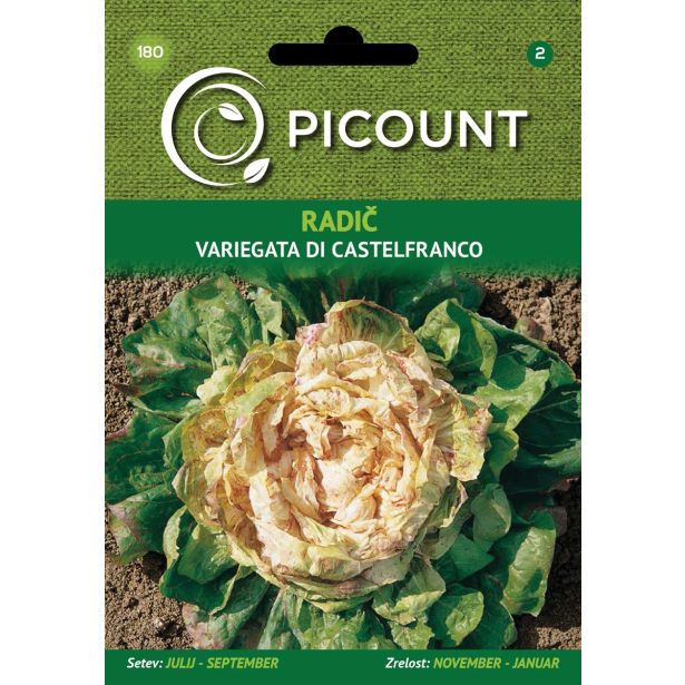 LISTNA ZELENJAVA VILMORIN RADIČ VARIEGATA DI CASTELFRANCO