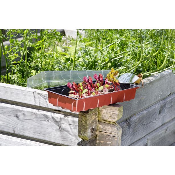 VRTNARSKI PRIPOMOČEK WINDHAGER RASTLINJAK SOBNI 24 TABLET, 33X22X5CM