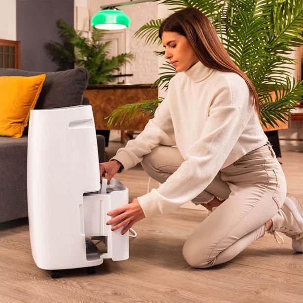 RAZVLAŽILNIK ZRAKA CECOTEC BIGDRY 10000 EXPERT CONNECTED