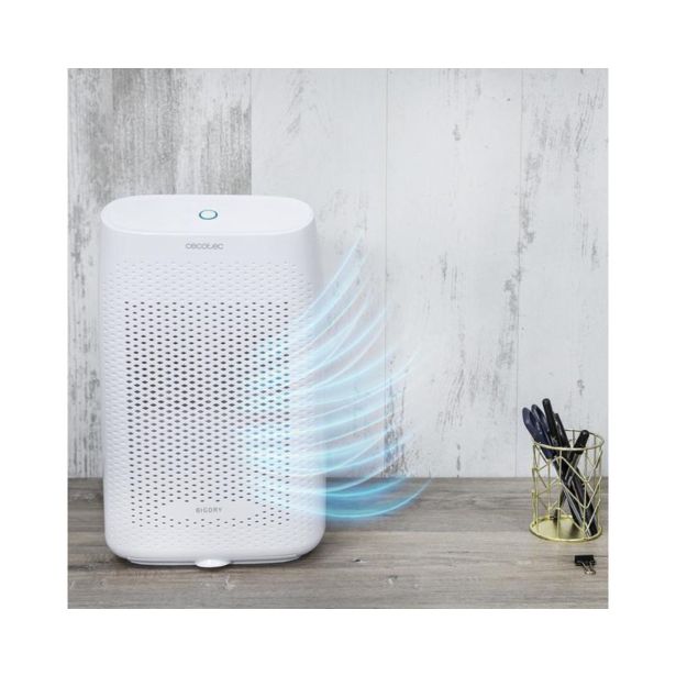 RAZVLAŽILNIK ZRAKA CECOTEC BIGDRY 2500 ESSENTIAL 360