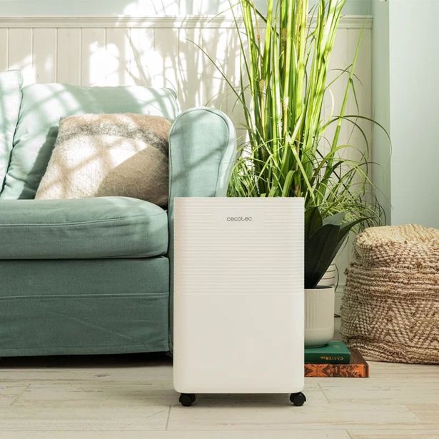 RAZVLAŽILNIK ZRAKA CECOTEC BIGDRY 8000 EXPERT CONNECTED