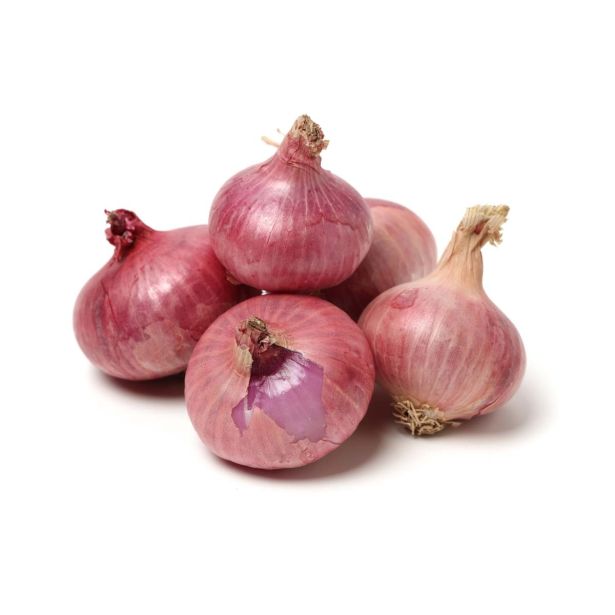 ČEBULA L'ORTO FRUTTIFERO RDEČA 9/1 BAS.FIORENTINA KULTIPAK