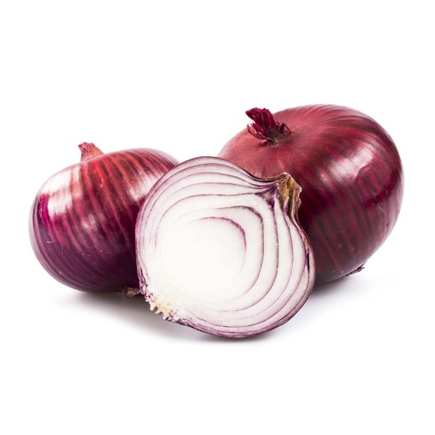 ČEBULA L'ORTO FRUTTIFERO RDEČA 9/1 N. ROCCABRUNA KULTIPAK