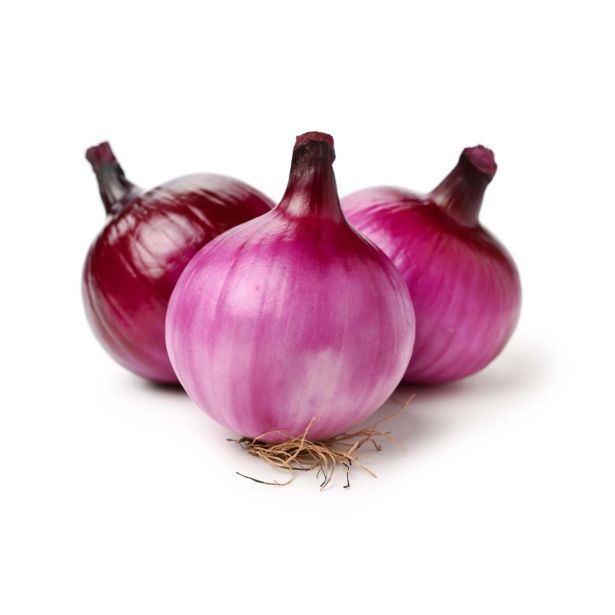 ČEBULA L'ORTO FRUTTIFERO RDEČA 9/1 TROPEANA KULTIPAK