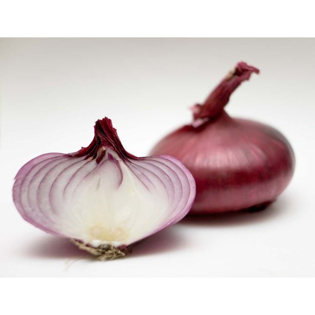 ČEBULA L'ORTO FRUTTIFERO RDEČA 9/1 VER.DI FIRENZE KULTIPAK