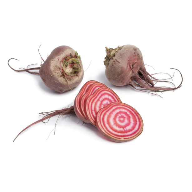 KORENOVKE L'ORTO FRUTTIFERO RDEČA PESA 8/1 VAR. DI CHIOGGIA KULTIPAK