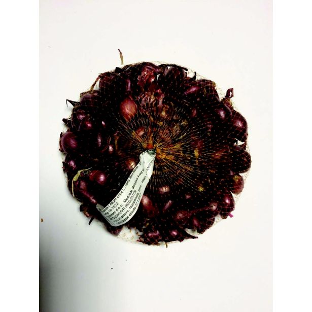 ČEBULČEK SYMBIOTICA RED BARON-RDEČI 500G