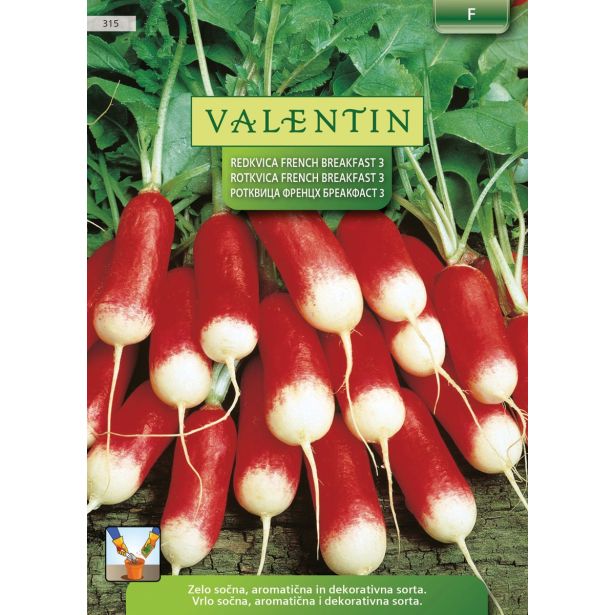 SEMENA VALENTIN REDKVICA LANQUETTE 315 VALENTIN