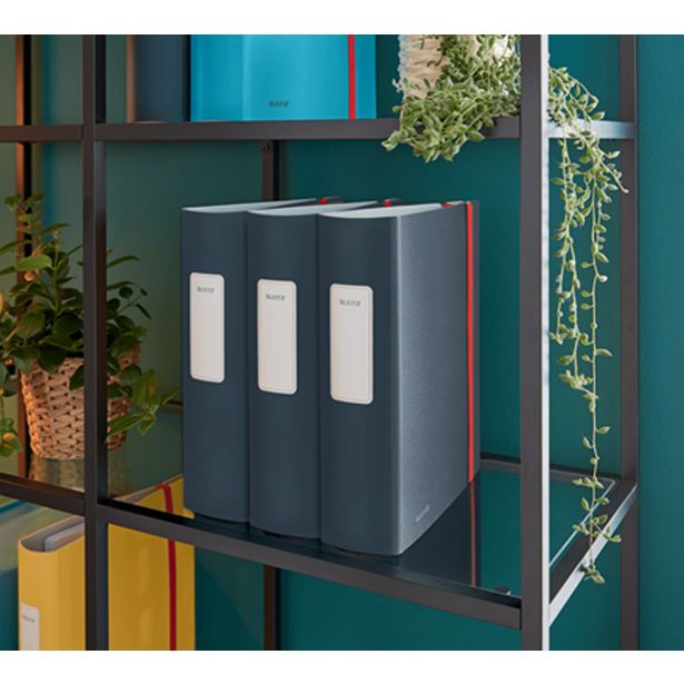 REGISTRATOR LEITZ COSY-WOW COSY SIV A4 2R Z ELASTIKO 80MM