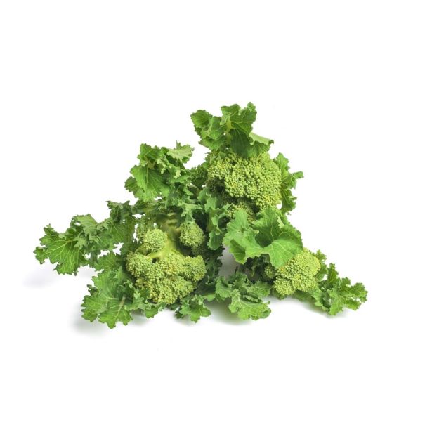 KORENOVKE L'ORTO FRUTTIFERO REPINA CIMA 8/1 RAPA NOVANTINA KULTIPAK