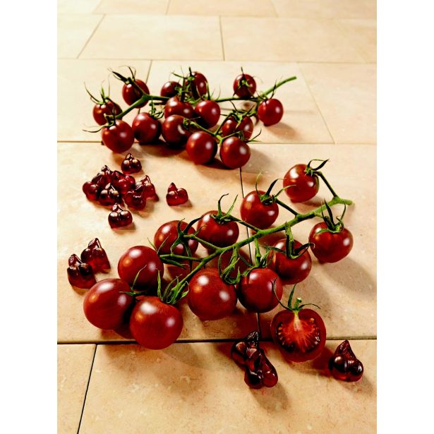 PLODOVKE RJAVO -RDEČ ČEŠNJEVEC BLACK CHERRY L12