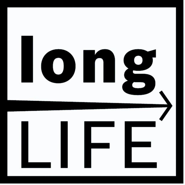 PRIBOR ZA VEČNAM. ORODJA BOSCH SAIZ 65 BB LES ŽEBLJI BIMETALNI POTOPNI LIST