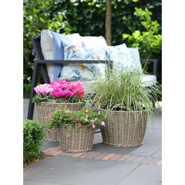 PE ZUNANJI LONEC KOŠEK SALLY NATUR 30 V20 CM