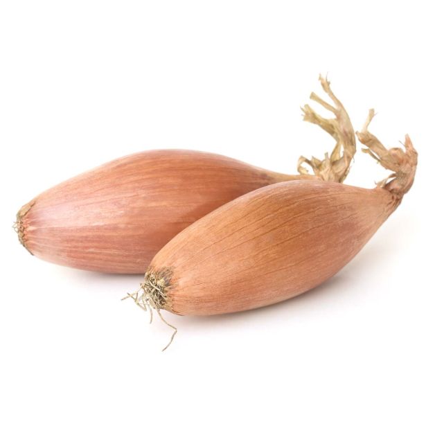 ŠALOTKA L'ORTO FRUTTIFERO SCAL. AMBITION 9/1 KULTIPAK