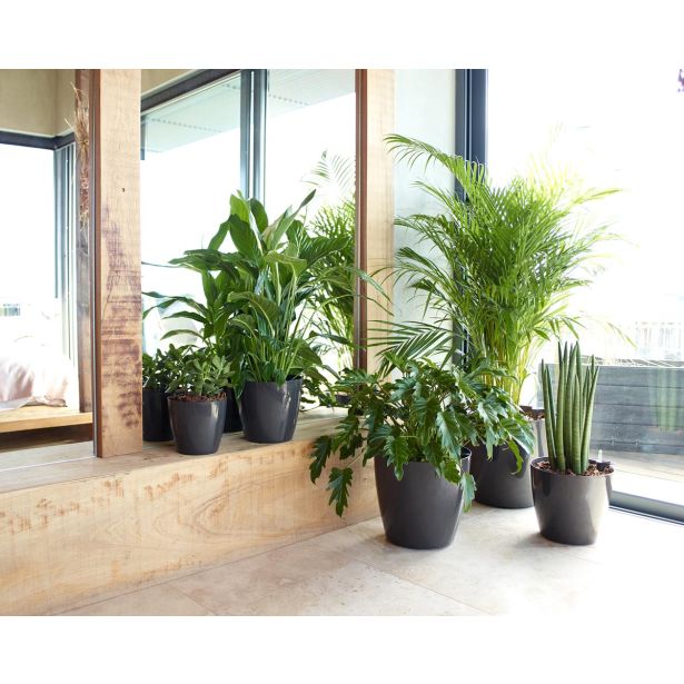 PE NOTRANJI LONEC SAN REMO GLOSSY ANTRACIT 42CM S KOLEŠČKI