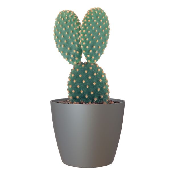 PE NOTRANJI LONEC SAN REMO MAT ANTRACIT 14 CM