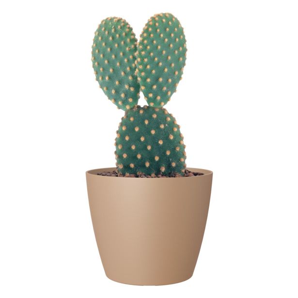 PE NOTRANJI LONEC SAN REMO MAT BEIGE 25CM