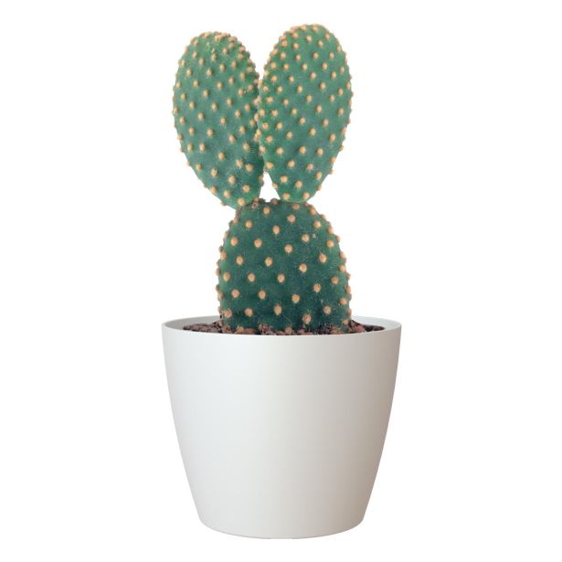 PE NOTRANJI LONEC SAN REMO MAT BEL 18CM