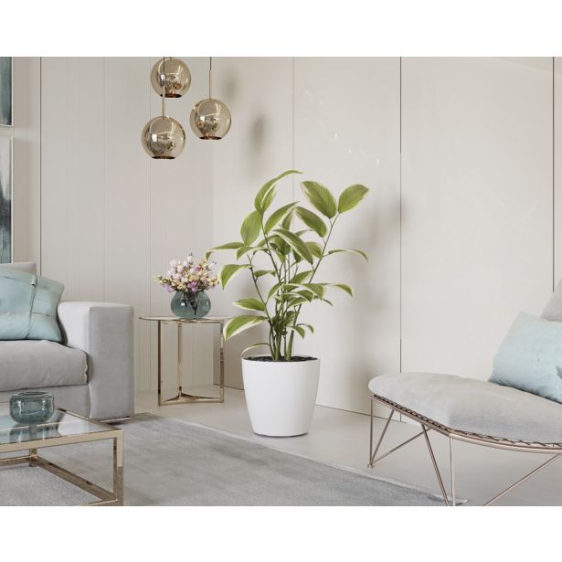 PE NOTRANJI LONEC SAN REMO MAT BEL 30CM S KOLEŠČKI