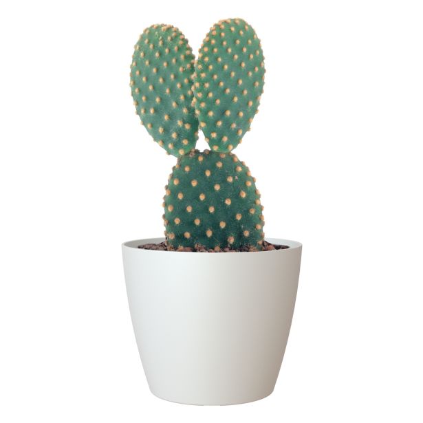 PE NOTRANJI LONEC SAN REMO MAT BEL 42CM