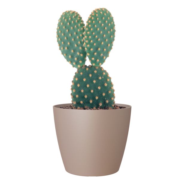 PE NOTRANJI LONEC SAN REMO MAT TAUPE 16CM