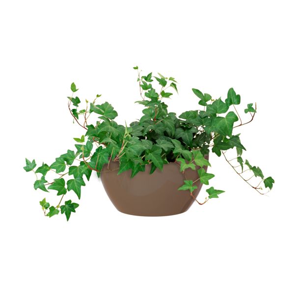 PE NOTRANJI LONEC SAN REMO SKLEDA TAUPE 23 CM