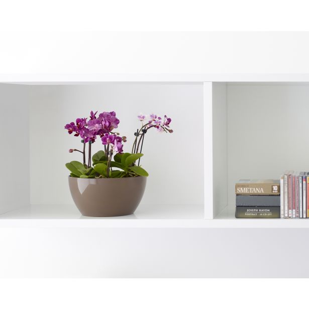 PE NOTRANJI LONEC SAN REMO SKLEDA TAUPE 32 CM