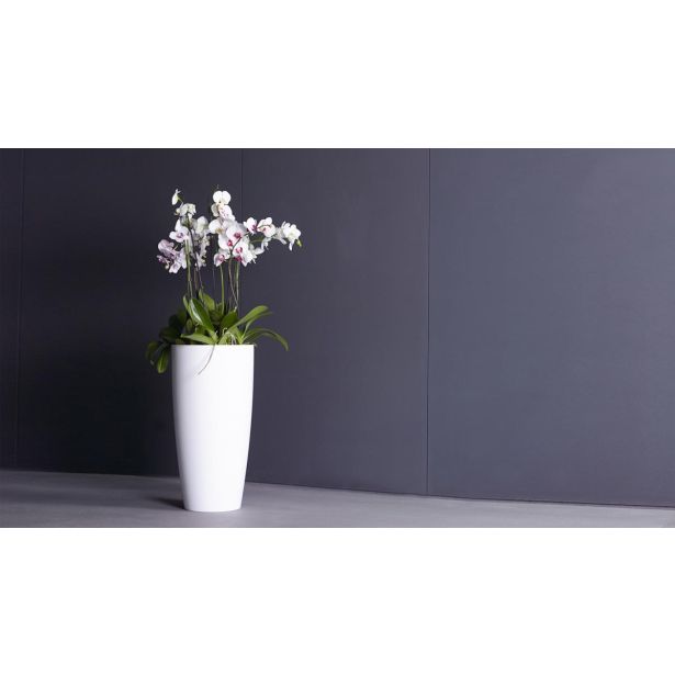 PE NOTRANJI LONEC SANTORINI VISOK BEL 78CM